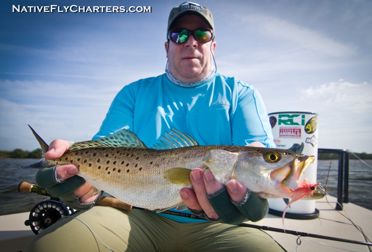 Mosquito Lagoon Sea Trout on fly