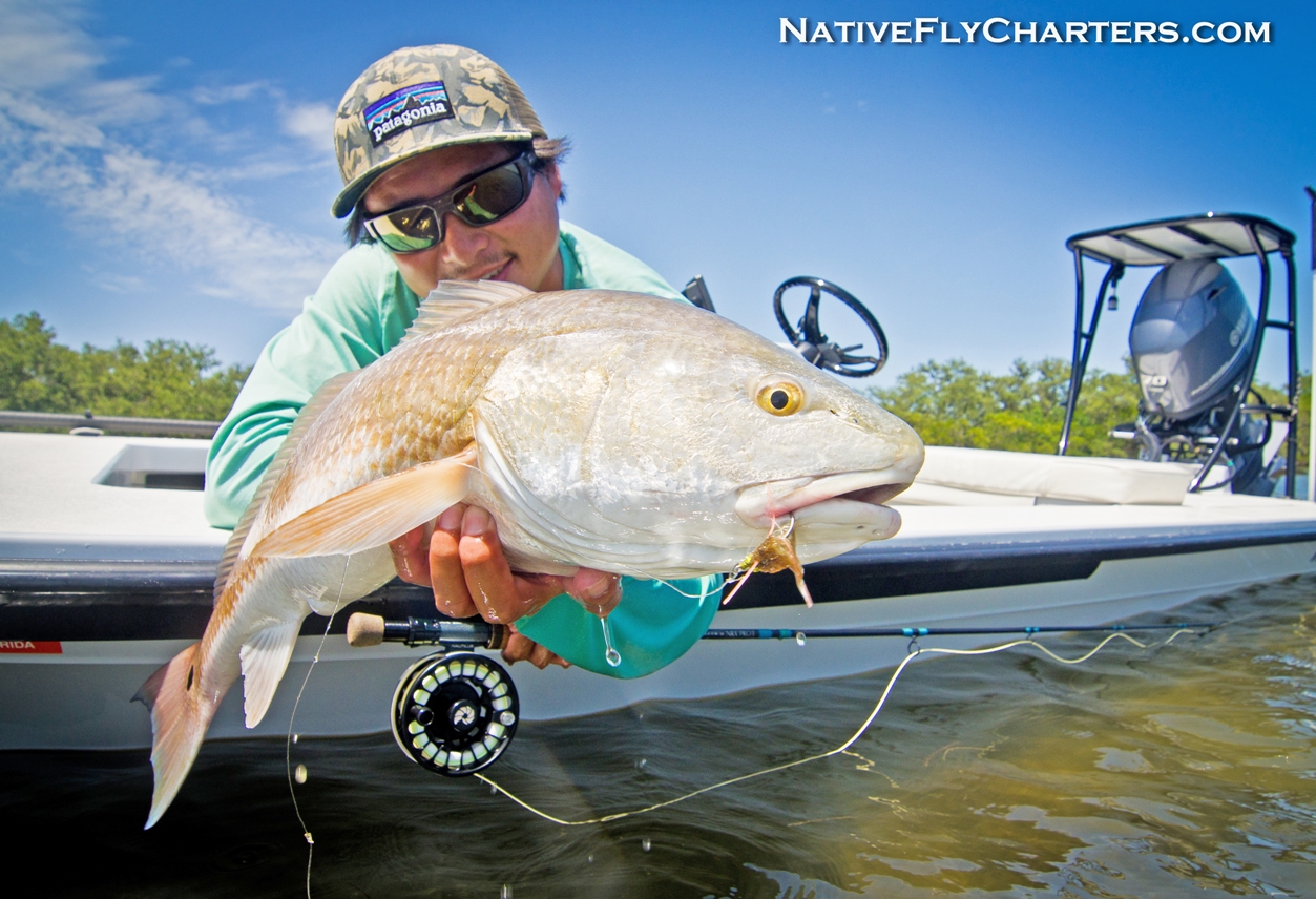Mosquito lagoon fly fishing guide
