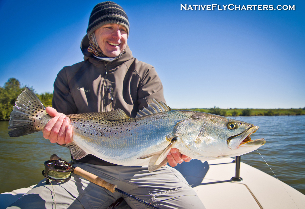 Big sea trout on fly