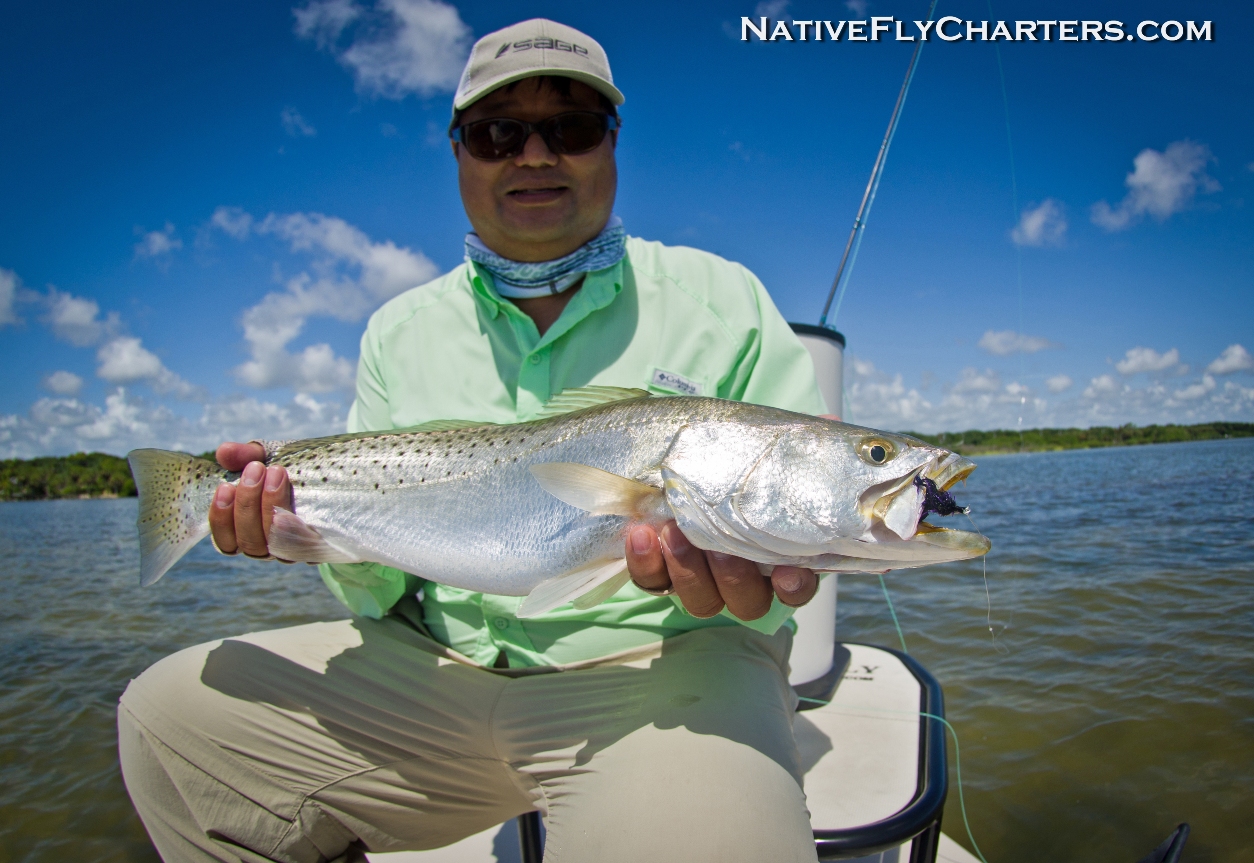 mosquito lagoon sea trout on fly