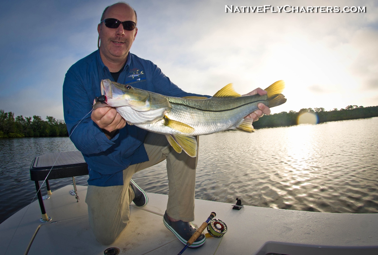 snook on fly